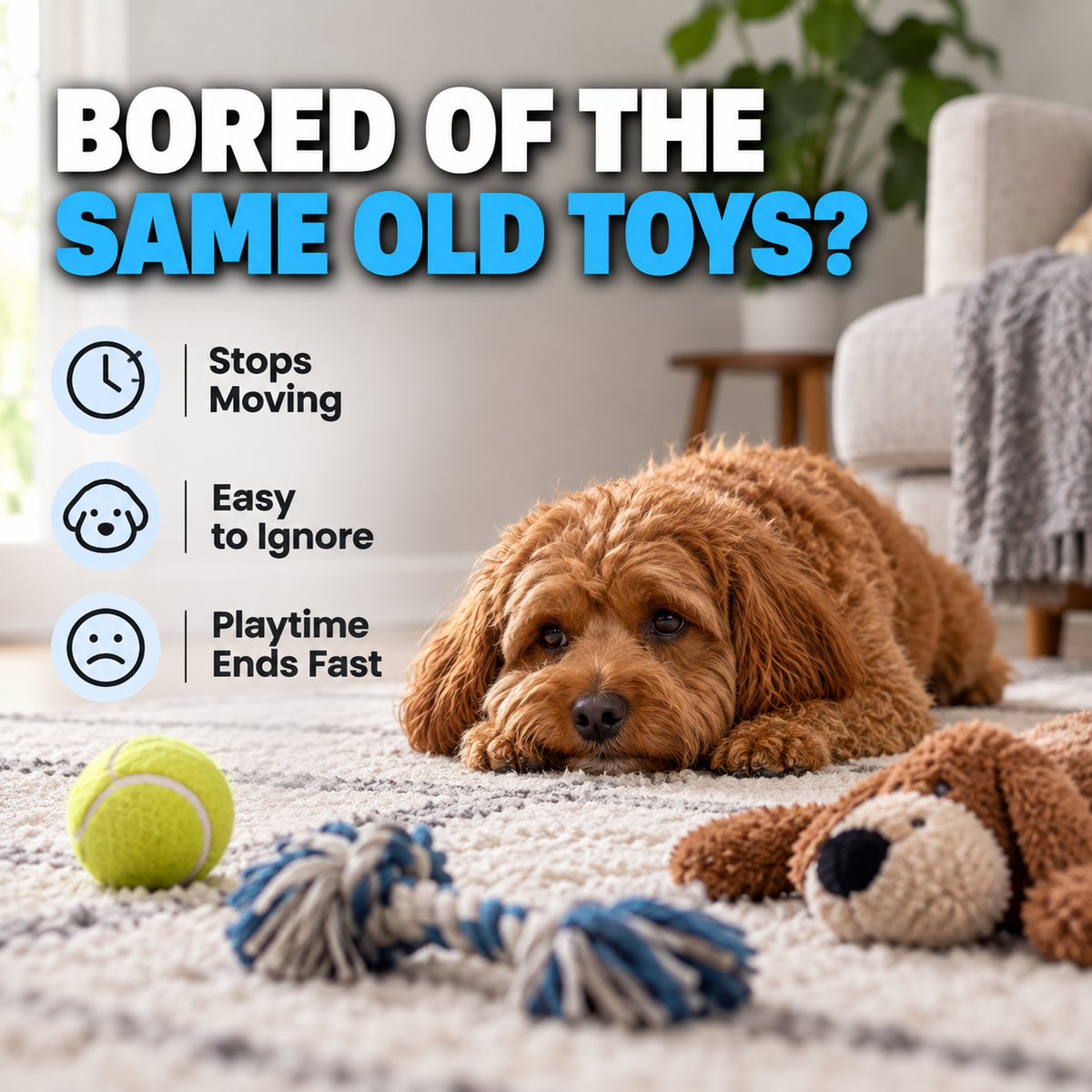 Interactive Motion Ball for Cats & Dogs
