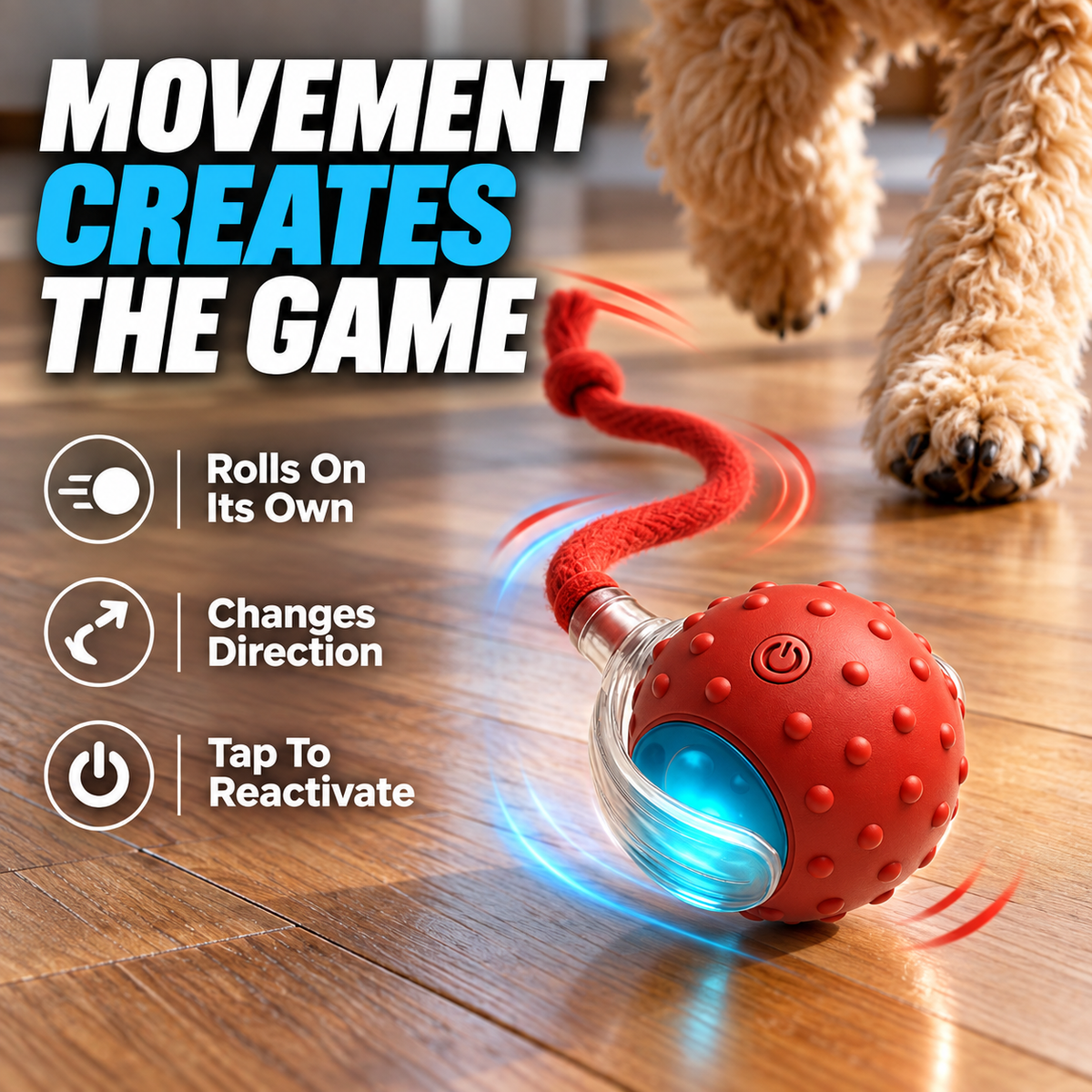 Interactive Motion Ball for Cats & Dogs