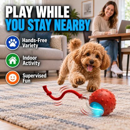 Interactive Motion Ball for Cats & Dogs