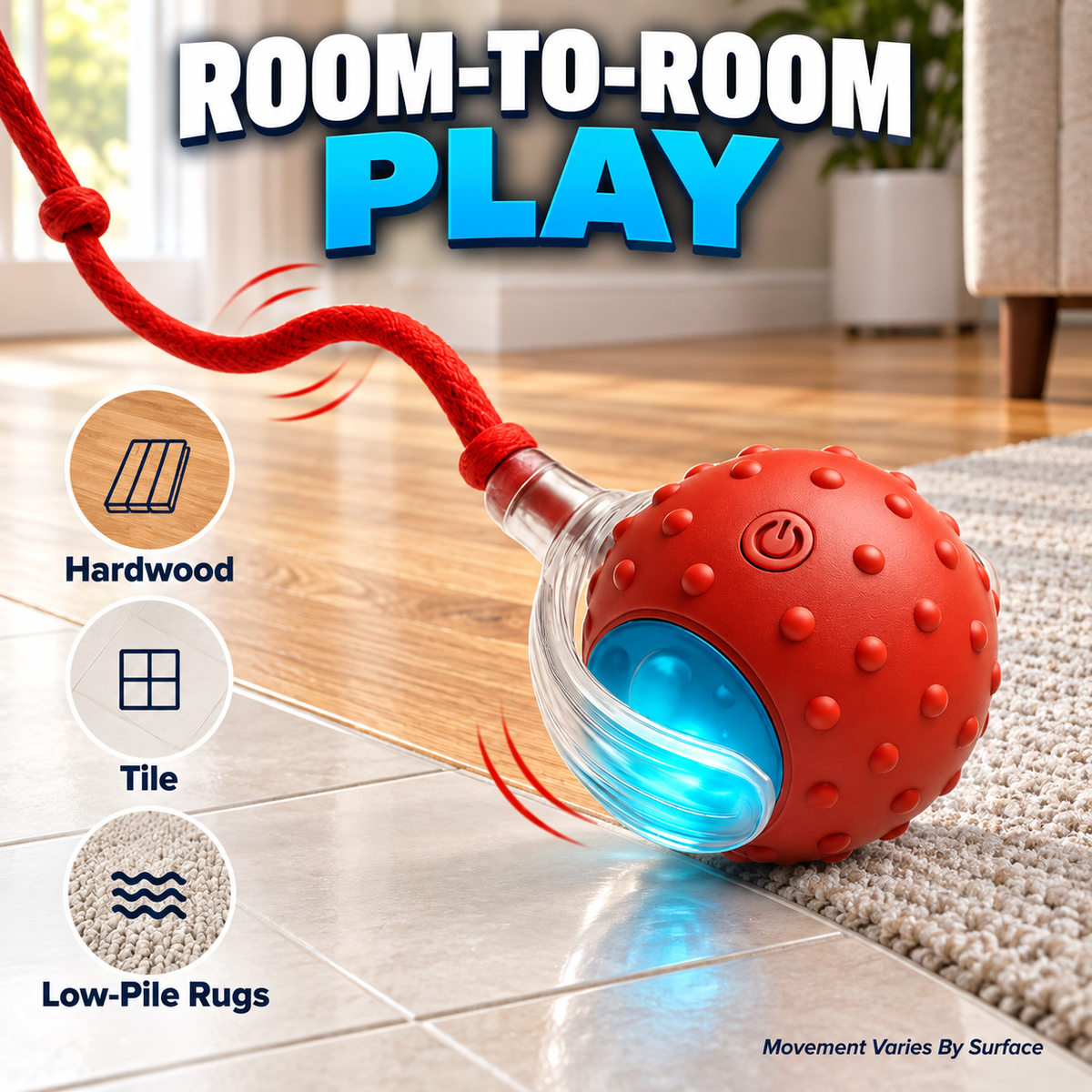 Interactive Motion Ball for Cats & Dogs