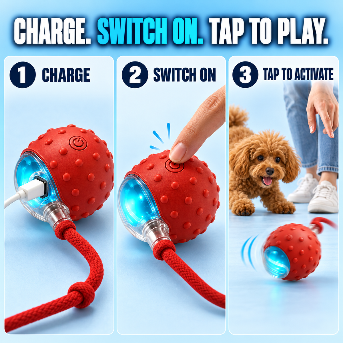 Interactive Motion Ball for Cats & Dogs