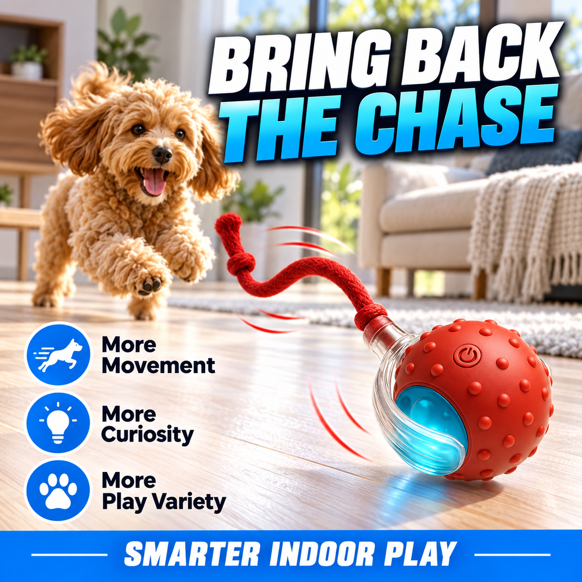 Interactive Motion Ball for Cats & Dogs