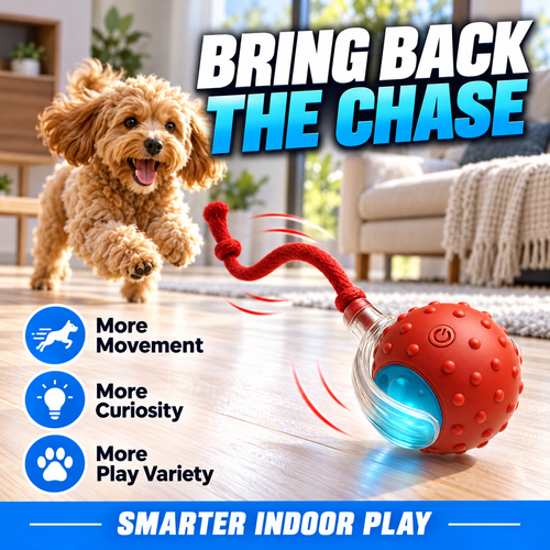 Interactive Motion Ball for Cats & Dogs